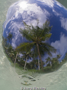 Coconut tree through Snell's window by Joerg Blessing 